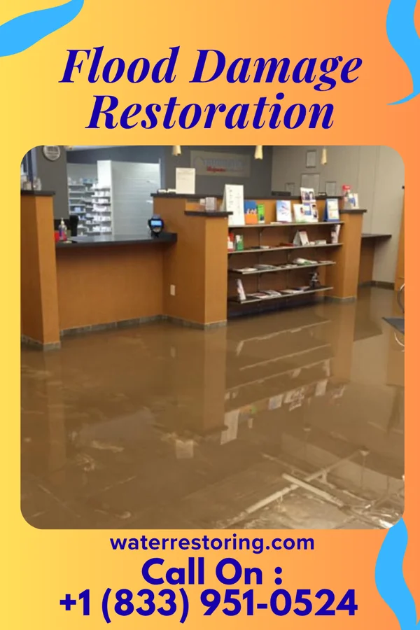 Flood Damage Restoration in Petrey, AL